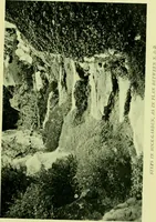 An illustration from Wall and water gardens (1901)
