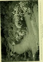 An illustration from Wall and water gardens (1901)