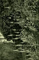 An illustration from Wall and water gardens (1901)