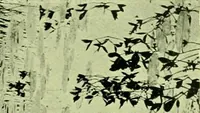 An illustration from Wall and water gardens (1901)