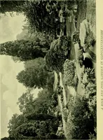 An illustration from Wall and water gardens (1901)