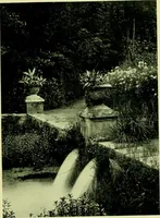 An illustration from Wall and water gardens (1901)