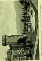 Picture 120 of 137 from Wall and water gardens (1901), leaf 294