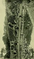 An illustration from Wall and water gardens (1901)