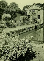 Picture 122 of 137 from Wall and water gardens (1901), leaf 296