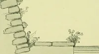 An illustration from Wall and water gardens (1901)