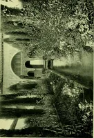 An illustration from Wall and water gardens (1901)