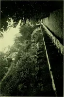 An illustration from Wall and water gardens (1901)