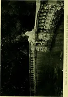 Picture 127 of 137 from Wall and water gardens (1901), leaf 305