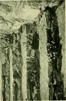 An illustration from Wall and water gardens (1901)