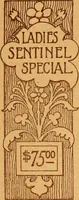 Picture 7 of 19 from Wanderings awheel. (1898), leaf 10