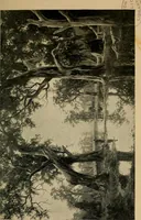 Picture 7 of 11 from The wanderings of a spiritualist (1921), leaf 146