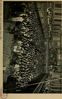 Picture 8 of 11 from The wanderings of a spiritualist (1921), leaf 164