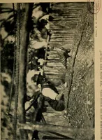An illustration from The wanderings of a spiritualist (1921)