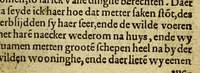 An illustration from Warachtige historie ende beschriuinge eens lants in America ghelegen, vviens invvoonders vvilt, naeckt, seer godloos, ende vvreede menschen eters sijn. (1558)