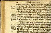 An illustration from Warhafftiger vnd gründtlicher Bericht der Hispanier grewlichen, vnd abschewlichen Tyranney, von jhnen in den West Indien, so die Neuwe Welt genennet wirt, begangen. (1599)