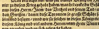 An illustration from Warhafftiger vnd gründtlicher Bericht der Hispanier grewlichen, vnd abschewlichen Tyranney, von jhnen in den West Indien, so die Neuwe Welt genennet wirt, begangen. (1599)