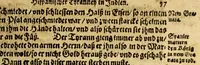 An illustration from Warhafftiger vnd gründtlicher Bericht der Hispanier grewlichen, vnd abschewlichen Tyranney, von jhnen in den West Indien, so die Neuwe Welt genennet wirt, begangen. (1599)