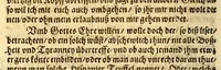 An illustration from Warhafftiger vnd gründtlicher Bericht der Hispanier grewlichen, vnd abschewlichen Tyranney, von jhnen in den West Indien, so die Neuwe Welt genennet wirt, begangen. (1599)