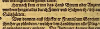 An illustration from Warhafftiger vnd gründtlicher Bericht der Hispanier grewlichen, vnd abschewlichen Tyranney, von jhnen in den West Indien, so die Neuwe Welt genennet wirt, begangen. (1599)