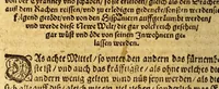 An illustration from Warhafftiger vnd gründtlicher Bericht der Hispanier grewlichen, vnd abschewlichen Tyranney, von jhnen in den West Indien, so die Neuwe Welt genennet wirt, begangen. (1599)