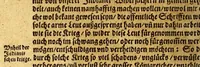 An illustration from Warhafftiger vnd gründtlicher Bericht der Hispanier grewlichen, vnd abschewlichen Tyranney, von jhnen in den West Indien, so die Neuwe Welt genennet wirt, begangen. (1599)