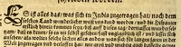 An illustration from Warhafftiger vnd gründtlicher Bericht der Hispanier grewlichen, vnd abschewlichen Tyranney, von jhnen in den West Indien, so die Neuwe Welt genennet wirt, begangen. (1599)