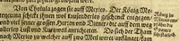 An illustration from Warhafftiger vnd gründtlicher Bericht der Hispanier grewlichen, vnd abschewlichen Tyranney, von jhnen in den West Indien, so die Neuwe Welt genennet wirt, begangen. (1599)