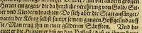 An illustration from Warhafftiger vnd gründtlicher Bericht der Hispanier grewlichen, vnd abschewlichen Tyranney, von jhnen in den West Indien, so die Neuwe Welt genennet wirt, begangen. (1599)