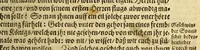 An illustration from Warhafftiger vnd gründtlicher Bericht der Hispanier grewlichen, vnd abschewlichen Tyranney, von jhnen in den West Indien, so die Neuwe Welt genennet wirt, begangen. (1599)