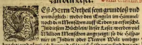 An illustration from Warhafftiger vnd gründtlicher Bericht der Hispanier grewlichen, vnd abschewlichen Tyranney, von jhnen in den West Indien, so die Neuwe Welt genennet wirt, begangen. (1599)