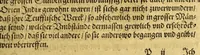 An illustration from Warhafftiger vnd gründlicher Bericht, der Hispanier grewlich: vnd abschewlichen Tyranney von jhnen in den West Indien, die Newe Welt genant,begangen. (1613)