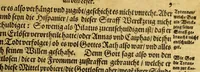 An illustration from Warhafftiger vnd gründlicher Bericht, der Hispanier grewlich: vnd abschewlichen Tyranney von jhnen in den West Indien, die Newe Welt genant,begangen. (1613)