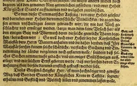 An illustration from Warhafftiger vnd gründlicher Bericht, der Hispanier grewlich: vnd abschewlichen Tyranney von jhnen in den West Indien, die Newe Welt genant,begangen. (1613)
