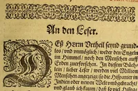 An illustration from Warhafftiger vnd gründlicher Bericht, der Hispanier grewlich: vnd abschewlichen Tyranney von jhnen in den West Indien, die Newe Welt genant,begangen. (1613)