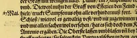 An illustration from Warhafftige und gründtliche Historia dess Zugs, : welchen die edle und gestrenge Herrn, Norwitz und Drak (nach ihrer glücklichen Widerkunfft auss den Occidentalischen Insulen) auss Vergünstigung der Durchleuchtigsten vn[d] Vnvberwindlichsten, Elisabeth, Königin auss Engelland, [et]c. in Portugal fürgenommen haben: in welcher aussführlich angezeigt wirdt, was gemeldte Obersten von Tag zu Tag gehandelt, vnd wider den Feindt erhalten haben (1590)