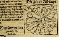 Picture 18 of 20 from Warhaftige Historia vnd Beschreibung eyner Landtschafft der wilden, nacketen, grimmigen Menschfresser Leuthen, in der Newenwelt America gelegen, vor vnd nach Christi Geburt im Land zu Hessen vnbekant, biss vff dise ij. nechst vergangene Jar, da sie Hans Staden von Homberg auss Hessen durch seine eygne Erfarung erkant, vnd yetzo durch den Truck an Tag gibt. : mit eyner Vorrede D. Joh. Dryandri ... Inhalt des Büchlins volget nach den Vorreden (1557), leaf 153