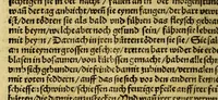 An illustration from Warhaftige Historia vnd Beschreibung eyner Landtschafft der wilden, nacketen, grimmigen Menschfresser Leuthen, in der Newenwelt America gelegen, vor vnd nach Christi Geburt im Land zu Hessen vnbekant, biss vff dise ij. nechst vergangene Jar, da sie Hans Staden von Homberg auss Hessen durch seine eygne Erfarung erkant, vnd yetzo durch den Truck an Tag gibt. : mit eyner Vorrede D. Joh. Dryandri ... Inhalt des Büchlins volget nach den Vorreden (1557)