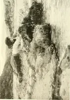 An illustration from Warings' exhibition of Italian art 1909 : furniture, bronzes, tapestries, embroideries, marbles, lace, academy pictures (1909)