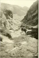 An illustration from Warings' exhibition of Italian art 1909 : furniture, bronzes, tapestries, embroideries, marbles, lace, academy pictures (1909)