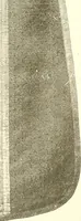 An illustration from Warings' exhibition of Italian art 1909 : furniture, bronzes, tapestries, embroideries, marbles, lace, academy pictures (1909)