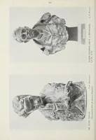 An illustration from War pictures, issued by authority of the Imperial War Museum (1919)