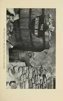 Picture 5 of 12 from The war romance of the Salvation Army (1919), leaf 157