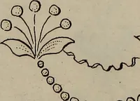 An illustration from Wasch- Bleich- Platt- und Nach-Buch, zum Selbstunterricht für Damen, welche sich mit diesen Arbeiten beschäftigen (1796)
