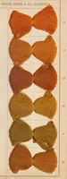 An illustration from Waschechte Diazobraun und Diazoolive = Diazo browns and diazo olives fast to washing = Diazo bruns et diazo olive solides au lavage. (1911)