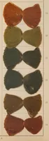 An illustration from Waschechte Diazobraun und Diazoolive = Diazo browns and diazo olives fast to washing = Diazo bruns et diazo olive solides au lavage. (1911)