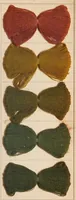 An illustration from Waschechte Diazobraun und Diazoolive = Diazo browns and diazo olives fast to washing = Diazo bruns et diazo olive solides au lavage. (1911)