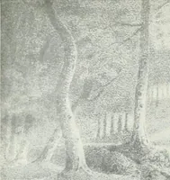 Picture 50 of 87 from Washington, the man and the mason, (1913), leaf 303