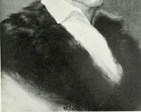 Picture 62 of 87 from Washington, the man and the mason, (1913), leaf 352