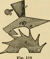 Picture 49 of 53 from Watch and clock escapements; (1904), leaf 171